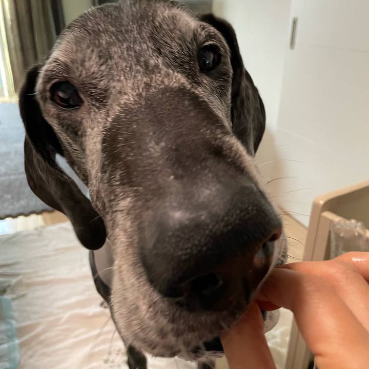 D518e99c 8dca 42f8 9c12 f3321ab676dc 1661724012226