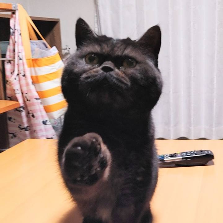 D518f98c ea5c 494d 8177 21d3be8559e0 1645356707504