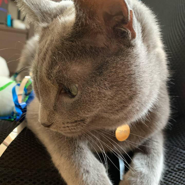 D519275f 33a4 44fc bd3a 805e90bb4428 1597737778614