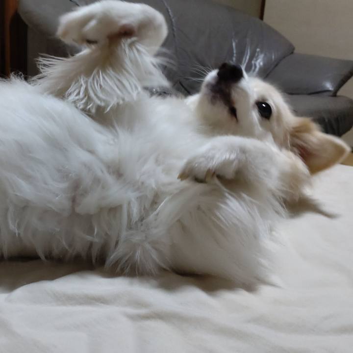 D5194bef b88d 4412 9308 e541382046b0 1662031181340