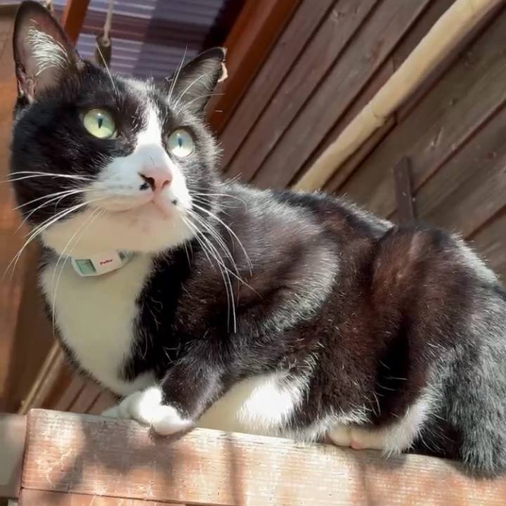 D5199e47 cf7c 404d aa46 fd455f88437d 1761182315164