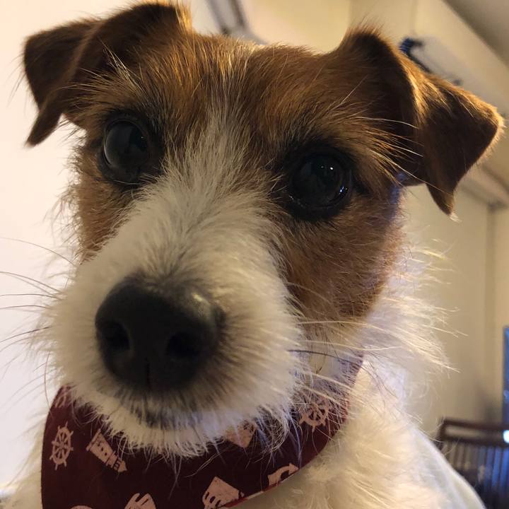 D519ba7f d470 4068 9abe 87768aa0aa96 1604592975437