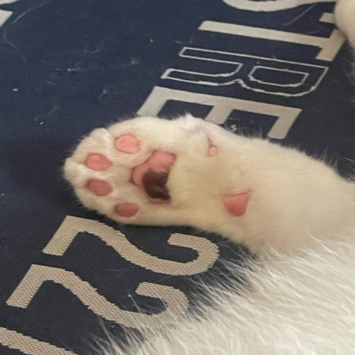 D519fd61 31ec 4010 8cb8 da2a83bc815f 1718690521514