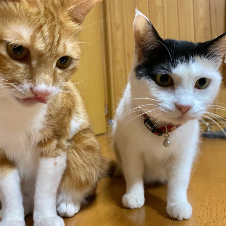 D51a0bb2 97fd 40e0 9eb0 df22e5eba661 1659190498583