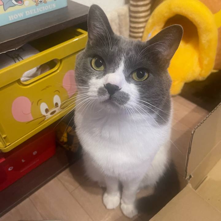 D51a1d32 b699 4fe8 8d2f 6c47796c6e63 1698498023818