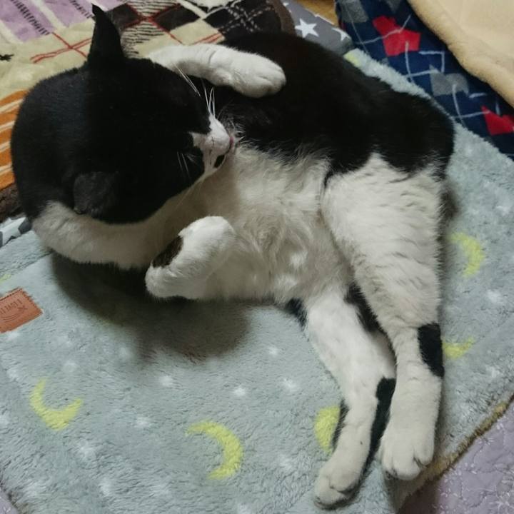 D51a25bf c476 4d0f b410 5a44b473afe3 1511705363297