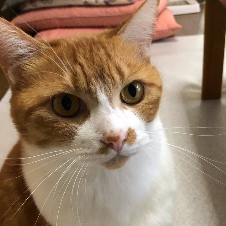 D51a3126 67a5 4d44 bf64 67e139aeed63 1601173531780