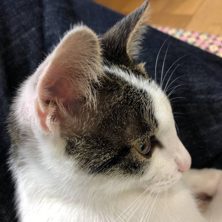 D51a3213 1cc5 4099 bf4c 0c5717b9dbae 1571317781438