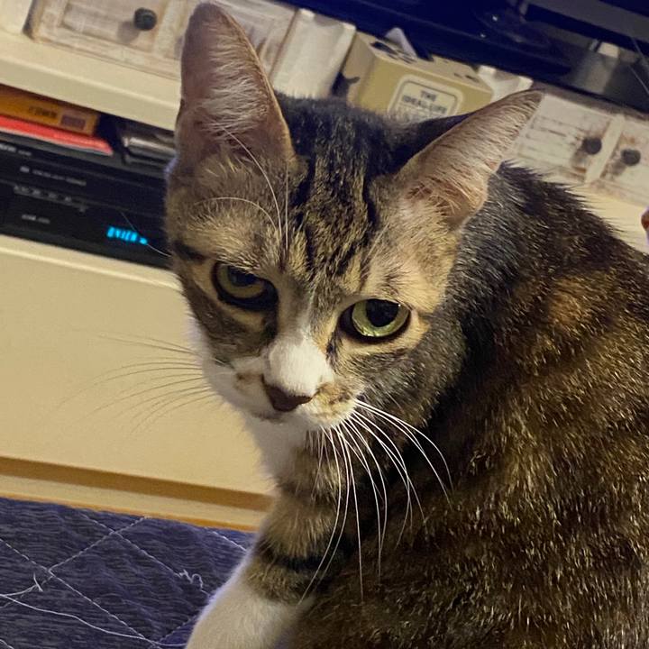 D51a36fe 5382 4729 85d9 1ea7949d65e7 1601820022497