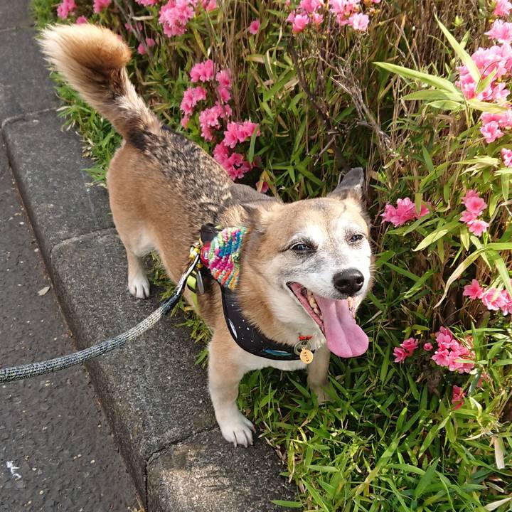 D51a6769 2c0c 4694 a85c 7b2d66bdad55 1555835546736