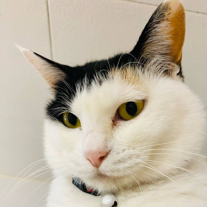 D51a7b05 3264 4ed9 99a9 ac1cc02e4662 1683072341170