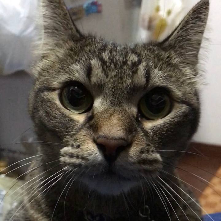 D51a8b47 fd5f 424d babe b523ea10d8e4 1535928484590