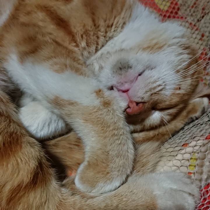 D51aa07d 0610 4a59 a99d 0b4fb8acce2b 1554814113936