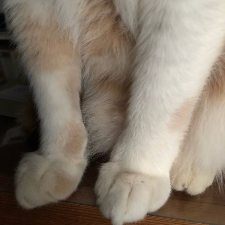 D51aa232 6841 4e4a 9536 611aeac91c58 1517872992670