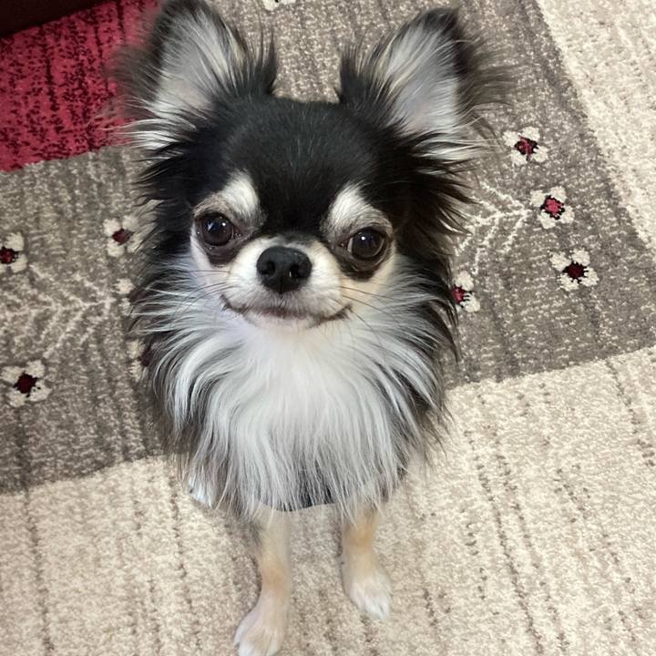 D51ad561 a0f6 4268 ad7d 08a0ae14c70d 1615073712232