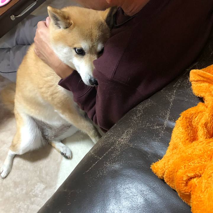 D51ad993 38c3 4b44 97d5 1629796a024f 1549706783800