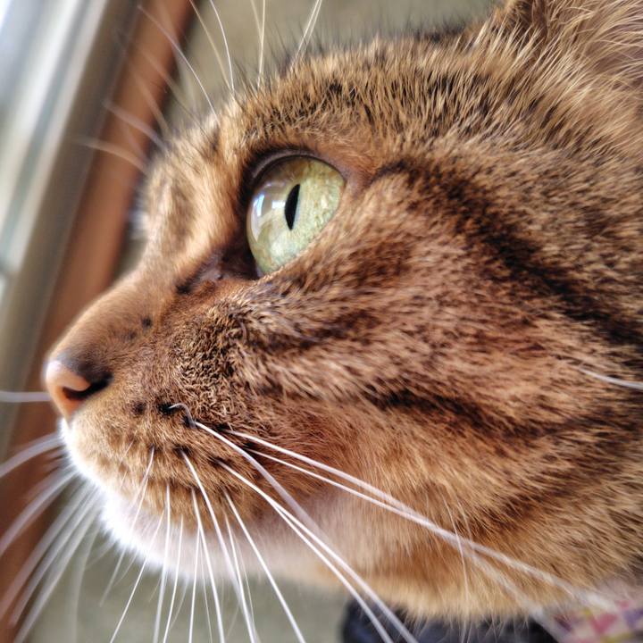 D51ae2fb 85d5 4c7f 8b3b 38345c142e80 1763862244542