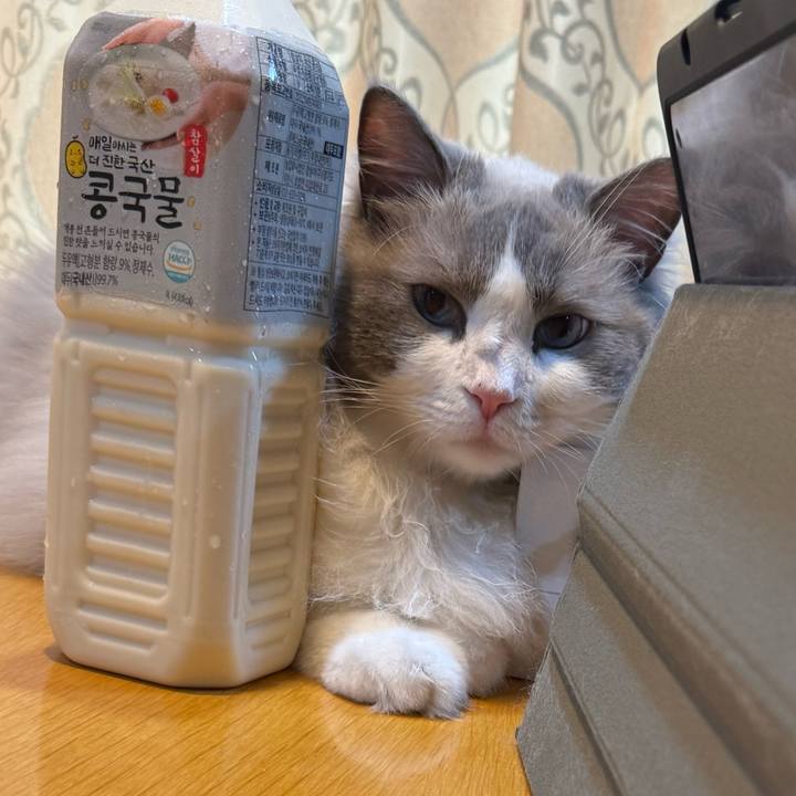 D51ae5e5 e847 40e5 80d4 0052c86ad8a2 1751960859674