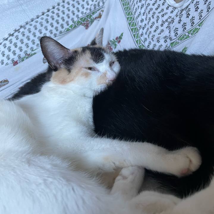 D51aef20 8003 4742 9598 9110b69d6cd2 1693900373706