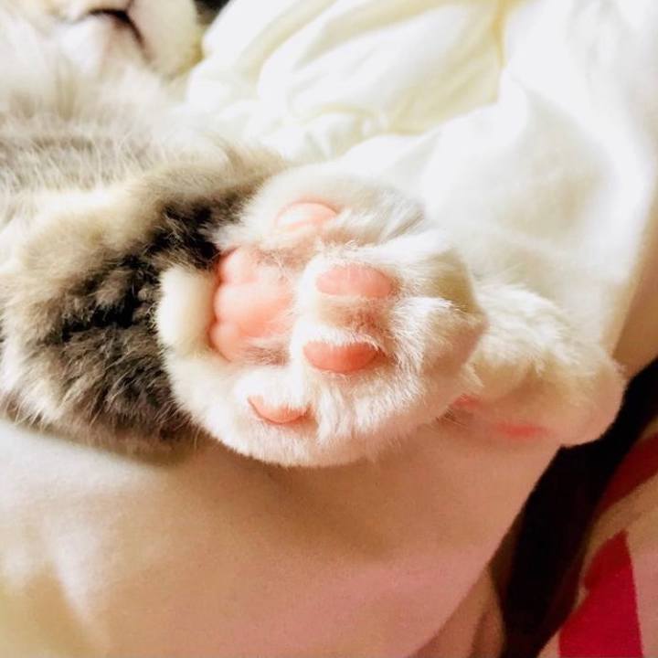 D51b1596 9a60 4230 9f96 03367a126484 1631107917334