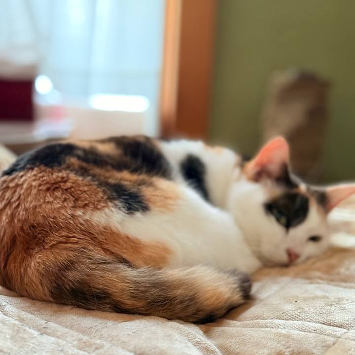 D51b2193 5632 4b55 8e69 bd175c89fb9e 1730682413403