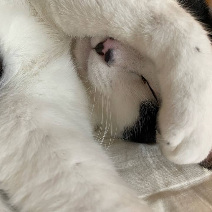 D51b4155 b07e 4a3d a8ce 6899132bd47b 1651550509025