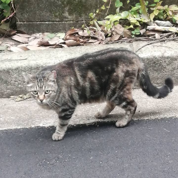 D51b4903 da0d 4d88 8889 01597b6ec327 1622581498815