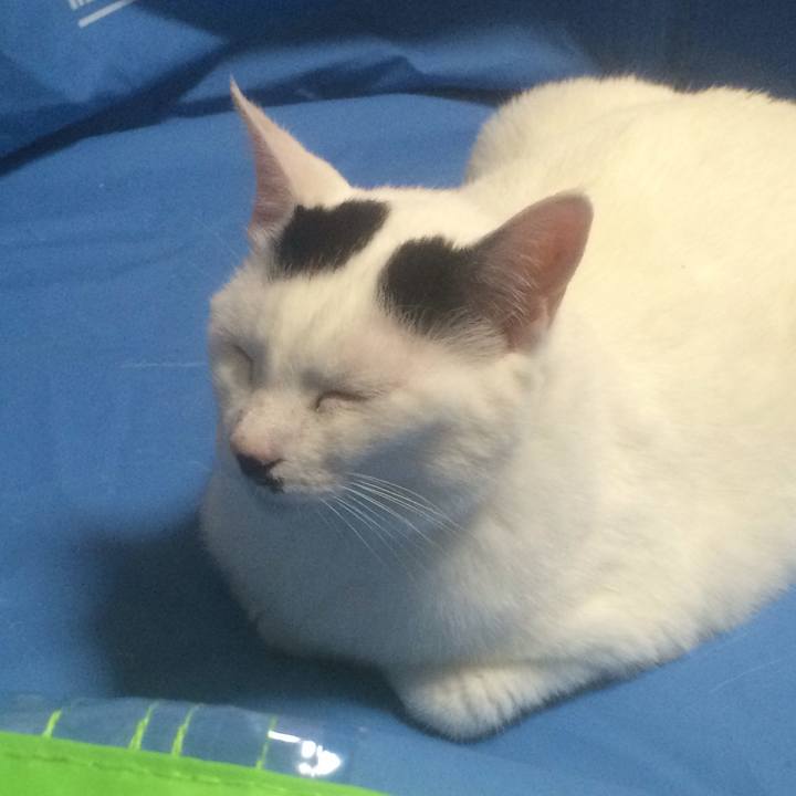 D51b5093 8852 41a5 aa95 c24f6b2b5059 1559658680711