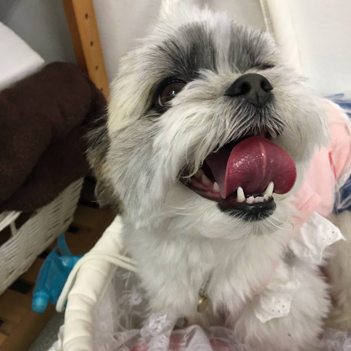 D51b5277 69ee 4698 a6fc f71bcde55138 1525009162699