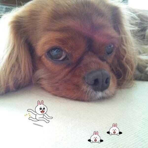 D51b5700 f8fd 41ac 98d8 ed7132809311 1520062937940