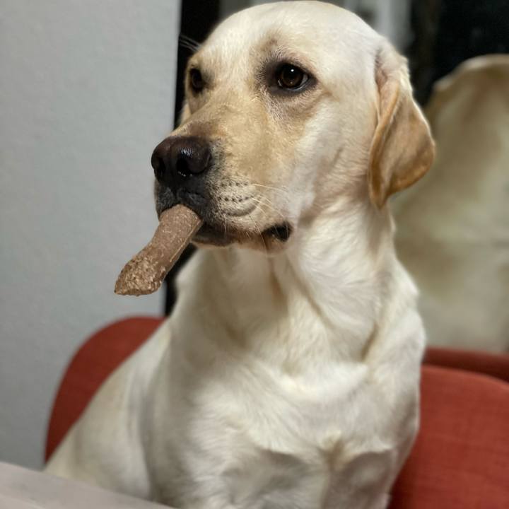 D51b61d9 d89c 401a 8c4b bdbf8bed2d20 1658756712153