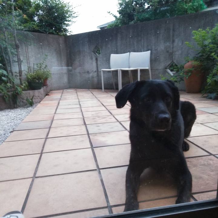 D51b782d c068 4a2d 910b 57abcc05881d 1564609311977