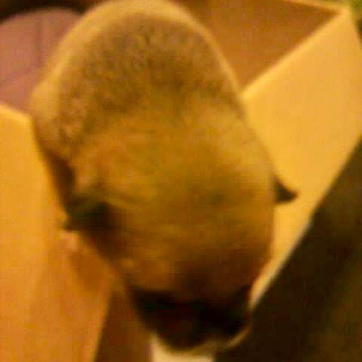 D51bc8fc 5b97 4998 ba97 7f4d0907f69d 1674451177387