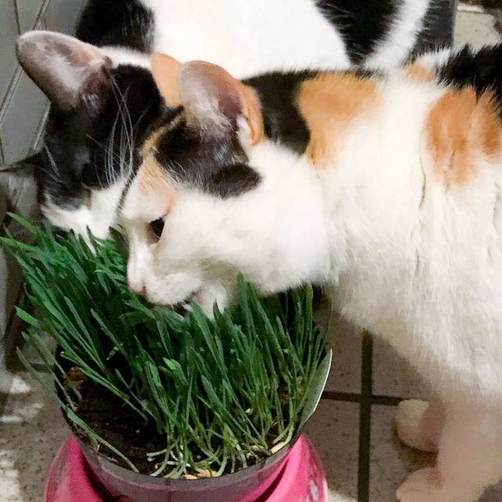 D51bce45 32fe 44fd 8693 1ea071163972 1522160687404