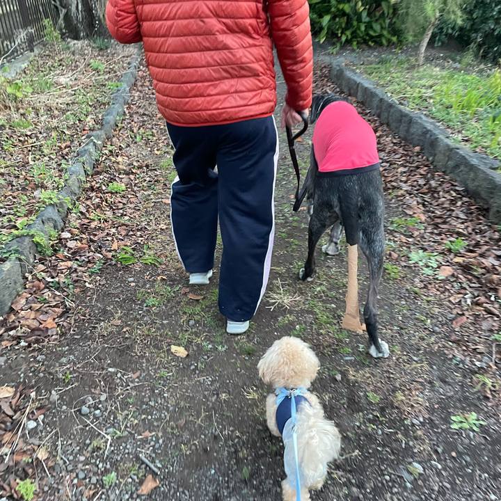 D51bef30 0344 4557 b359 5412538c970c 1635913614230