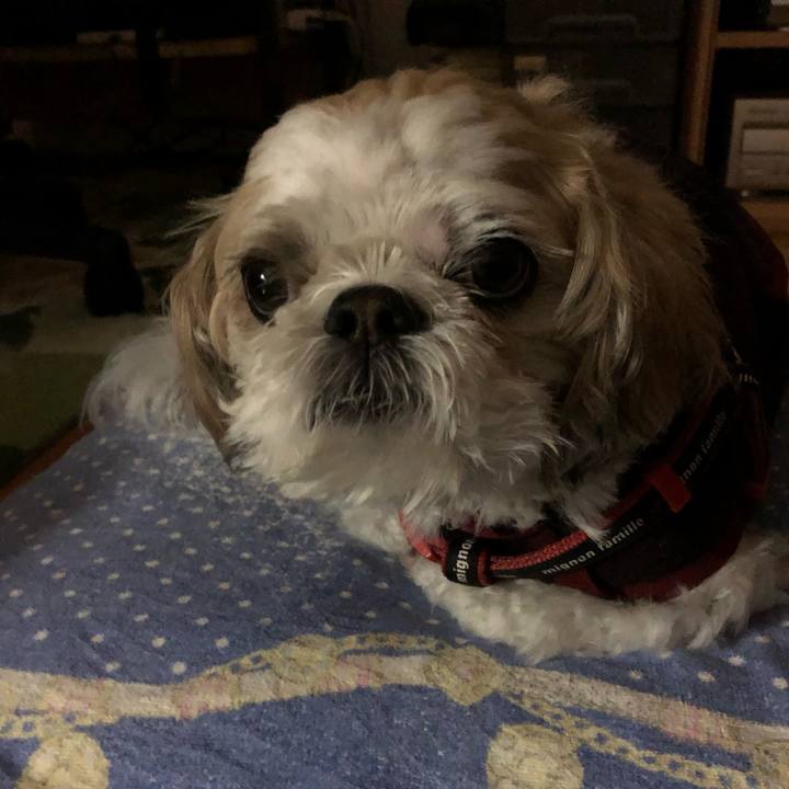 D51bf428 c692 4457 981e 4d41ca7cb6eb 1573681833934