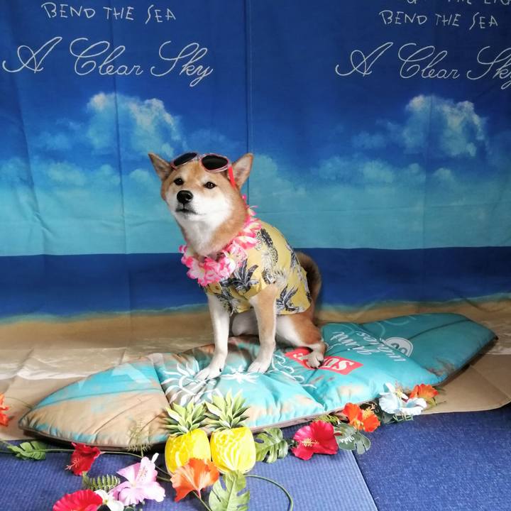 D51c275c beb9 45c6 825f b3121168b1bb 1597209773566