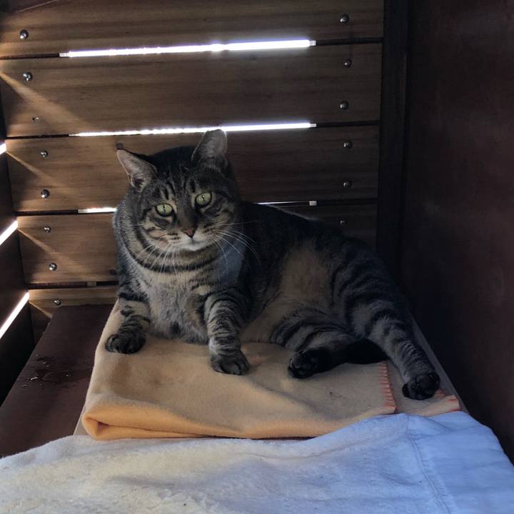 D51c31f1 2e26 44a6 99f7 c48cf03b544d 1540611380233