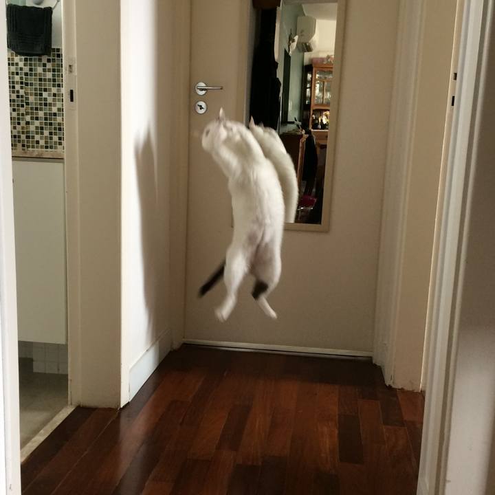 D51c3a1d c1db 42e5 98ea f33d123f04a4 1509288540258