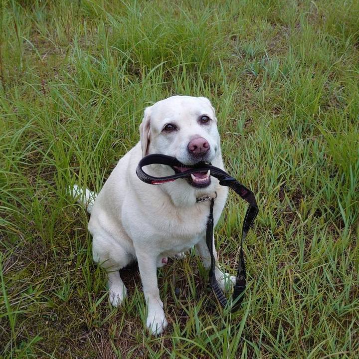 D51c3b9f c1ed 4578 9c38 ff2bc6046ac5 1723607090888