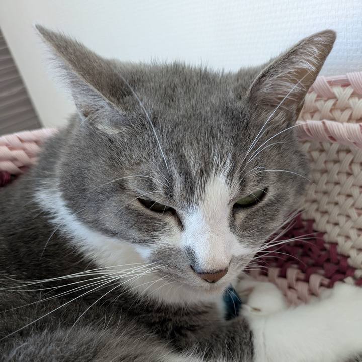 D51c3d5f f1d7 40c4 9ea5 c87a0dc7d403 1756430572477