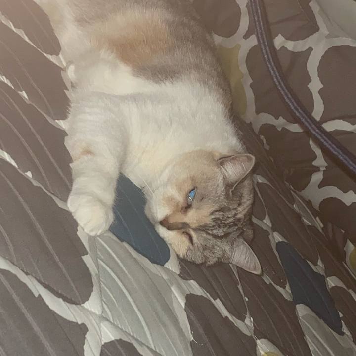 D51c5765 7bc3 4cef 890b cb9669dd0fbf 1769289265428