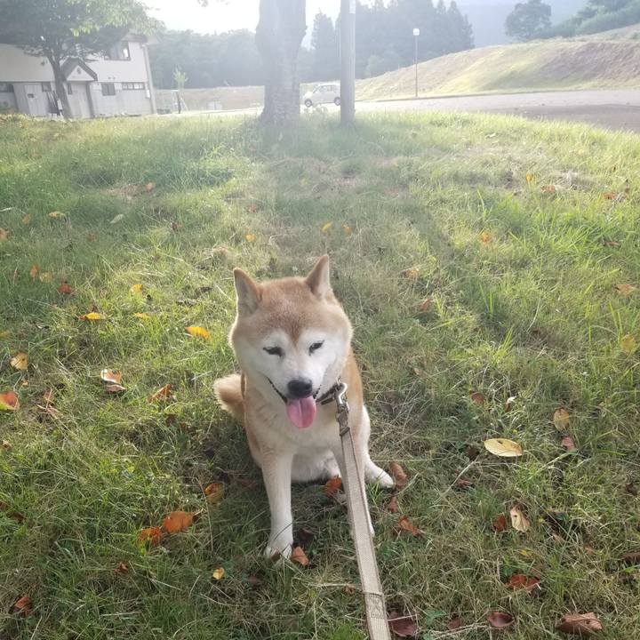 D51c7d24 23c0 4342 91a1 37d853878b57 1693468563067