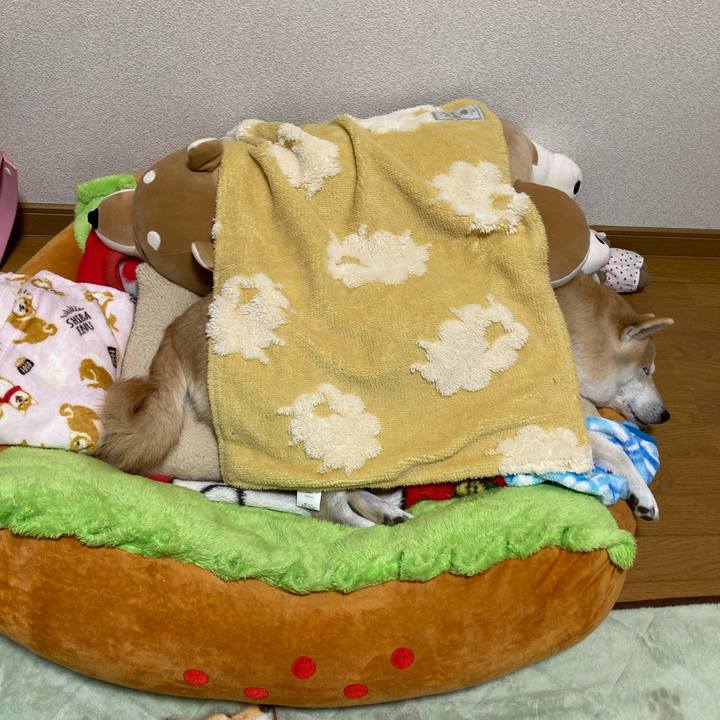 D51cc3b4 87b2 417a b20d 856d0507a5a4 1639362240440