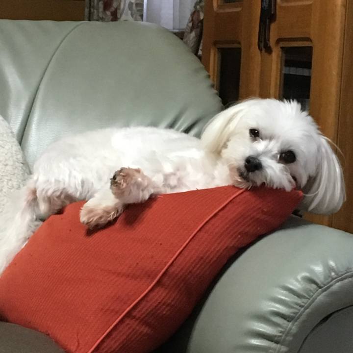 D51cea8e b0e1 4ef7 975d 4f9e114d650f 1539158307141