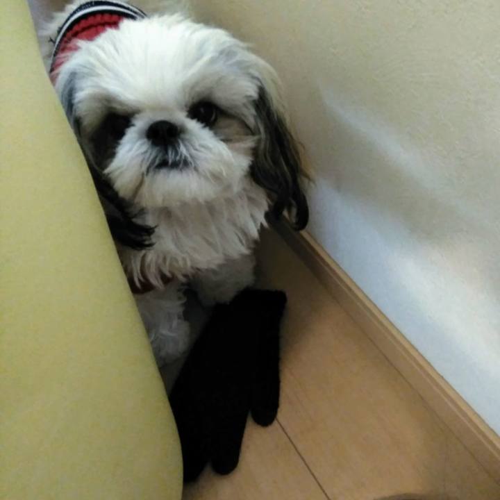 D51cfbf5 e9de 4347 839a adcd0e7404d1 1547358068656