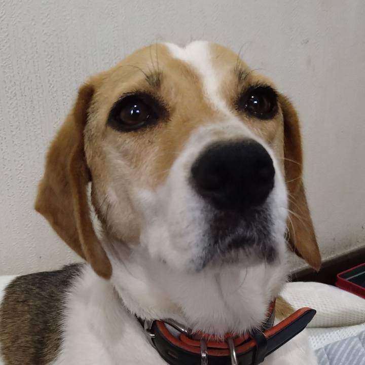 D51d6799 c3c3 49bc 8244 7f966a559387 1625637414294