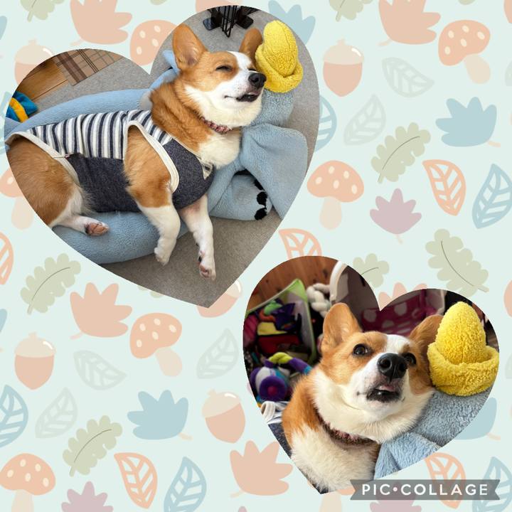 D51d85cb 7f42 49ff 82ca 6d32043d0a17 1762237470409