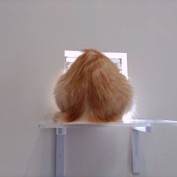 D51d88c4 bd66 4097 b672 9bbc03a5181f 1696749054042