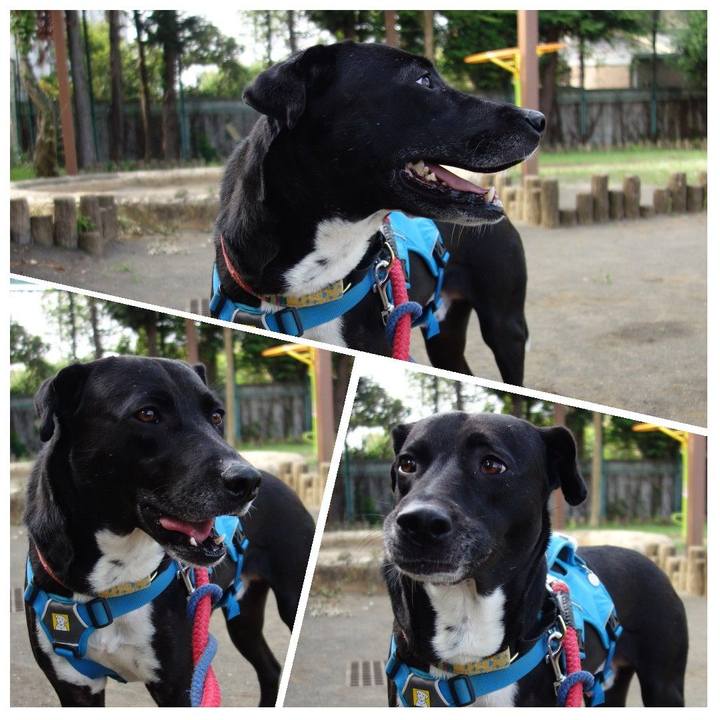 D51e0cde 4f6d 4787 a232 407d5b3bd397 1620521870346